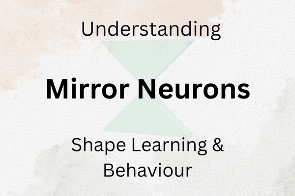 Role of Mirror Neurons in Child&nbsp;Development